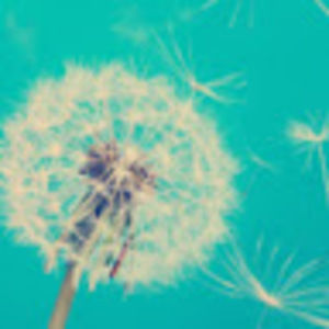 Meet your Posher, Levi